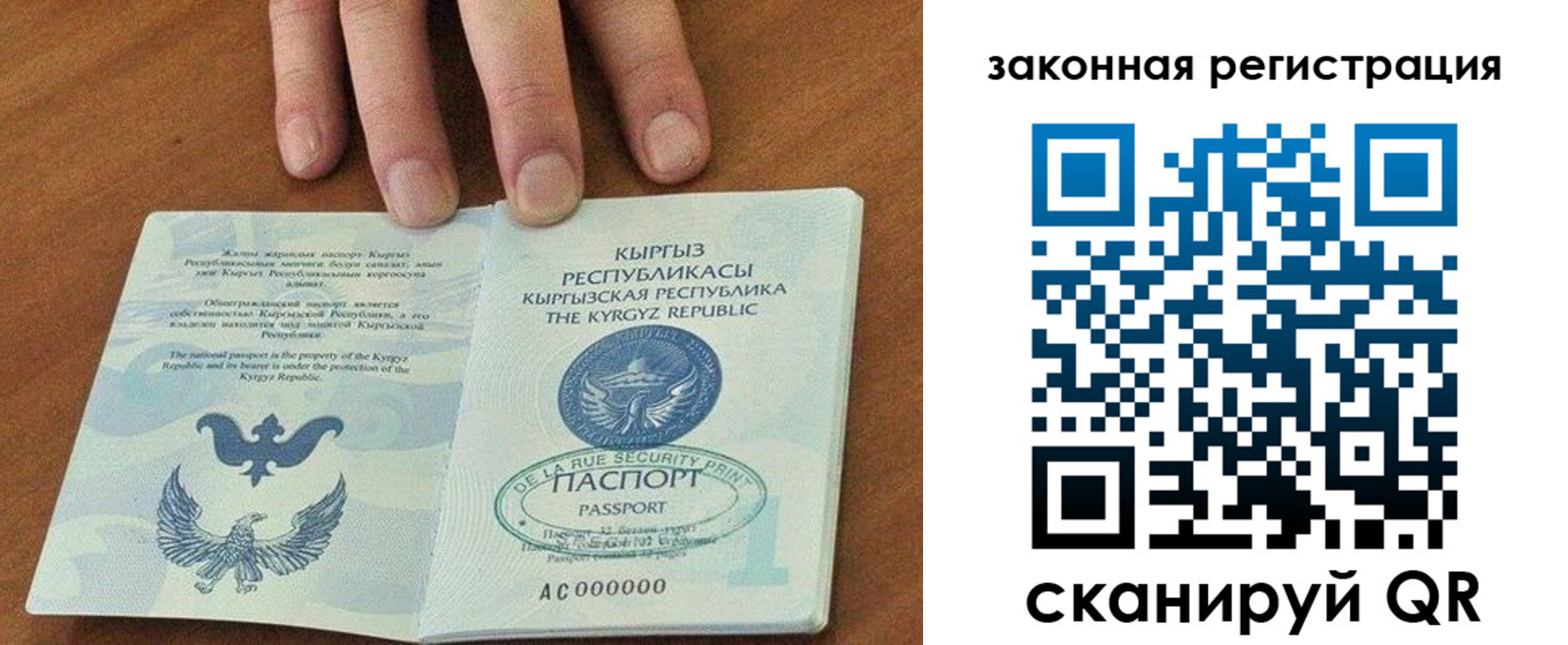 прописка гарантия в Амурске